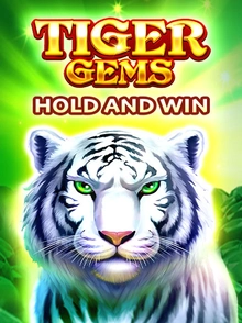 Tiger Gems Hold&win